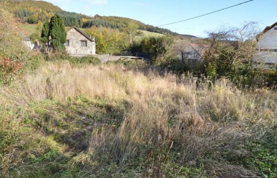 Land for sale in Carno photo