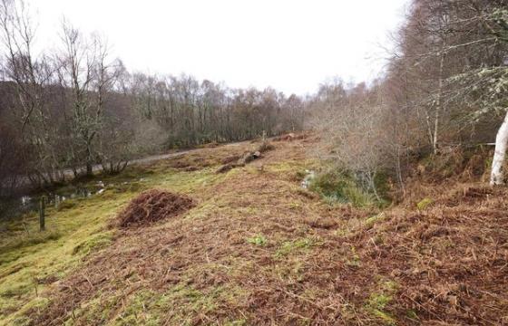 Land for sale in Garve photo