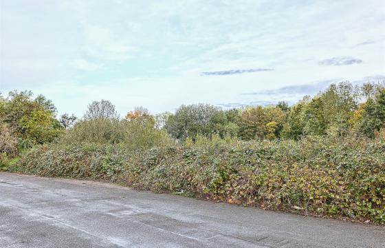 Land for sale in Ely photo