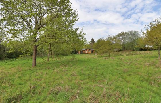 Land for sale in Appledore photo