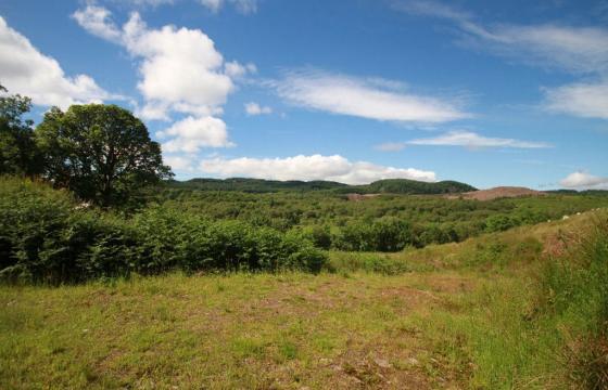Land for sale in DUNMORE photo