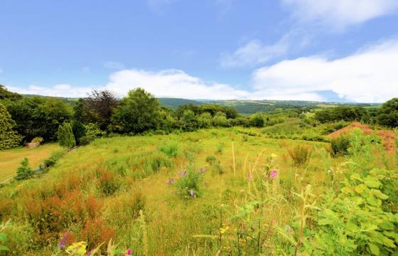 Land for sale in GUNNISLAKE, CORNWALL photo