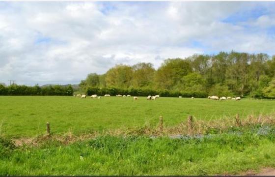 Development opportunity for sale in Brecon, Powys photo