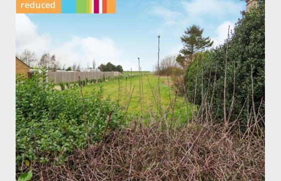 Land for sale in Wisbech photo