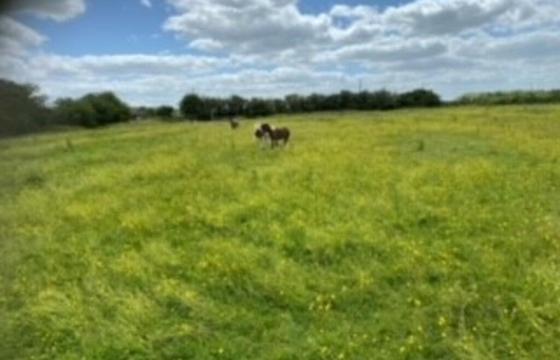 Land for sale in Doddington photo